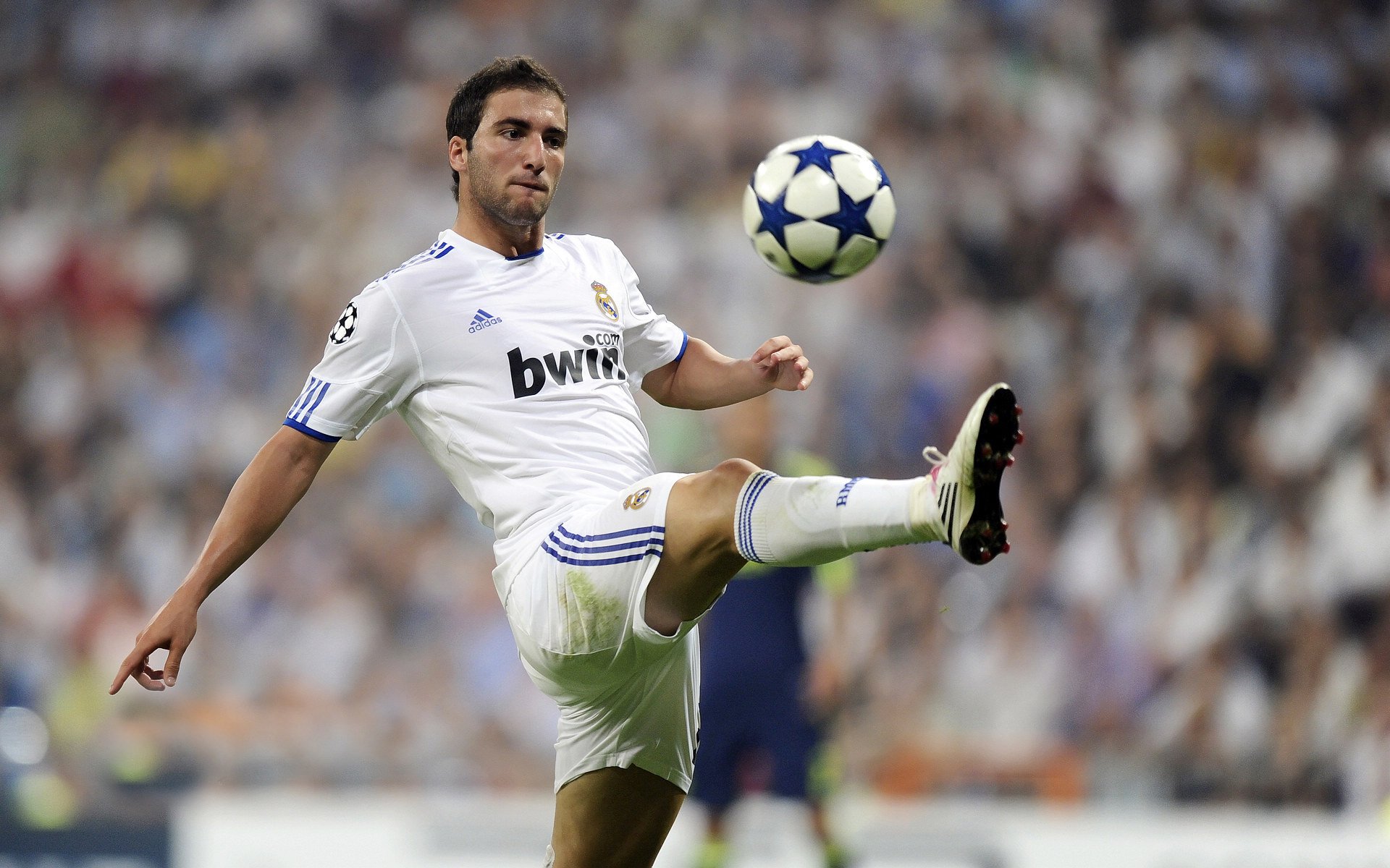 未来“足球精英”闪耀欧冠,明日之星崭露头角,精英未来足球俱乐部