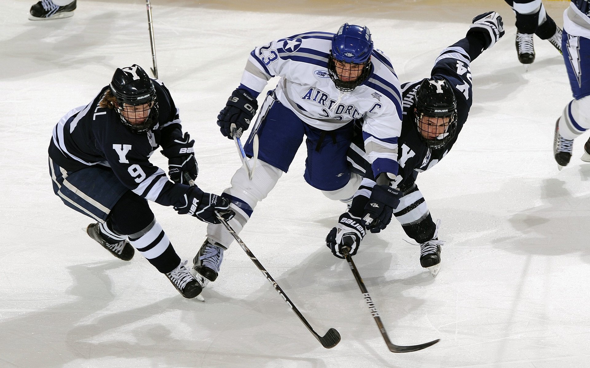 瑞士马术协会举办国际马术科技大会,推动行业技术交流与合作。